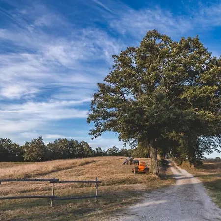 Spacious In Pienza With Swimming Pool
