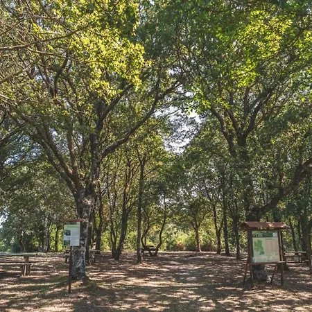 Spacious In Pienza With Swimming Pool Appartement *